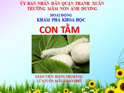 Bài giảng Hoạt động khám phá khoa học - Bài: Con tằm - Đặng Thị Hằng