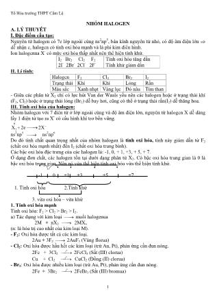Đề cương ôn tập Chương 5 môn Hóa học Lớp 10 - Trường THPT Cẩm Lệ