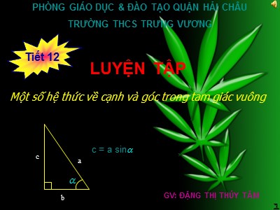 Bài giảng Hình học Lớp 9 - Tiết 12: Luyện tập một số hệ thức về cạnh và góc trong tam giác vuông - Đặng Thị Thúy Tâm