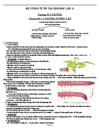 Đề cương ôn tập Chương II môn Sinh học Lớp 11 - Trường THPT Trần Phú