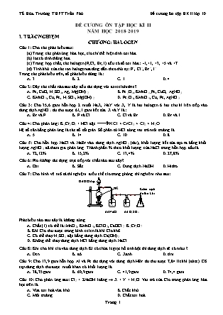 Đề cương ôn tập học kì II môn Hóa học 10 - Năm học 2018-2019 - Trường THPT Trần Phú
