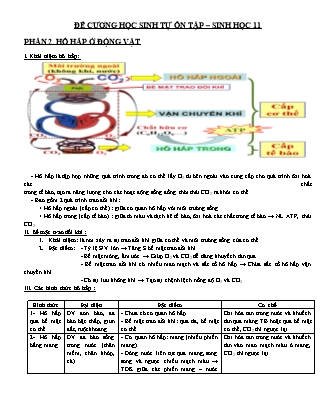 Đề cương ôn tập môn Sinh học Lớp 11 - Trường THPT Trần Phú