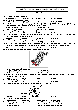 Đề ôn thi THPT Quốc gia môn Hóa học năm 2020 - Trường THPT Trần Phú