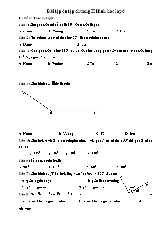 Bài tập ôn tập chương II môn Hình học Lớp 6