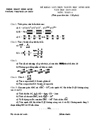 Đề khảo sát chọn học sinh giỏi môn Toán Lớp 6 - Năm học 2019-2020 - Trường TH&THCS An Châu (Có đáp án)