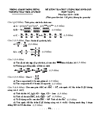 Đề kiểm tra chất lượng học sinh giỏi môn Toán Lớp 6 - Năm học 2019-2020 - Trường TH&THCS An Châu (Có đáp án)