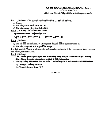 Đề thi học sinh giỏi môn Toán Lớp 6 - Năm học 2018-2019 (Có đáp án)