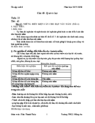 Giáo án Sinh học Lớp 6 - Bài 35 đến 37 - Chủ đề: Quả và hạt - Năm học 2019-2020 - Trần Thanh Thủy