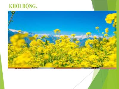 Bài giảng Âm Nhạc Lớp 5 - TĐN: Lý thuyết âm nhạc. Nhịp 2/4. Trọng âm, phách, ô nhịp, vạch nhịp