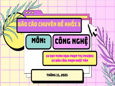 Bài giảng Báo cáo Chuyên đề Môn Công Nghệ 3 - Tháng 11/2023 (Phạm Thị Phượng, Phạm Nhật Tâm)