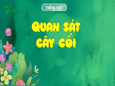 Bài giảng Tiếng Việt 4 - Viết: Quan sát cây cối