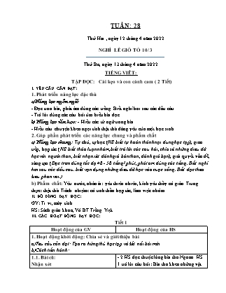 Kế hoạch bài dạy Chương trình Lớp 1 - Tuần 28 năm học 2021-2022 (Đinh Thị Thúy Hương)