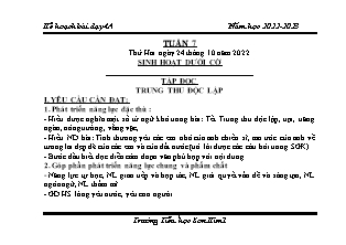 Kế hoạch bài dạy Chương trình Lớp 4 - Tuần 7 năm học 2022-2023 (Lê Thị Chinh)