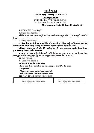 Kế hoạch bài dạy Chương trình Lớp 5 - Tuần 14 năm học 2022-2023 (Lê Thị Thái Hoàn)