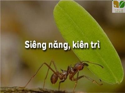 Bài giảng môn GDCD Lớp 6 KNTT - Bài 3: Siêng năng, kiên trì