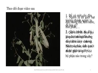 Bài giảng môn KHTN Lớp 7 - Chương IX, Bài 36: Khái quát về sinh trưởng và phát triển của sinh vật