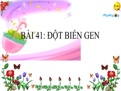 Bài giảng môn KHTN Lớp 9 - Bài 41: Đột biến gen