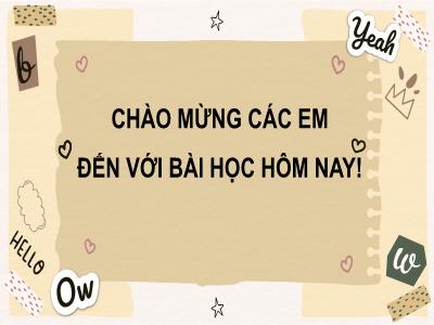 Bài giảng môn Mỹ Thuật Lớp 6 - Chủ đề 6, Tiết 21, Bài 11: Hòa sắc trong tranh chủ đề lễ hội