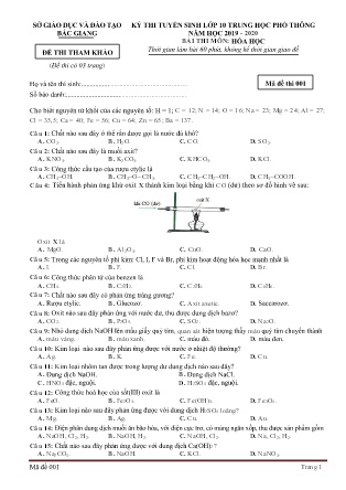 Đề thi tham khảo Kỳ thi Tuyển sinh Lớp 10 THPT môn Hóa Học năm học 2019-2020 - Sở GD&ĐT Bắc Giang