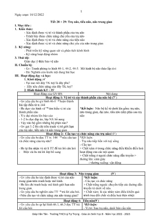 Kế hoạch bài dạy môn Sinh Học 8 - Tuần 15, Tiết 28+29 - Trụ não, tiểu não, não trung gian (GV: Giáp Văn Tân)